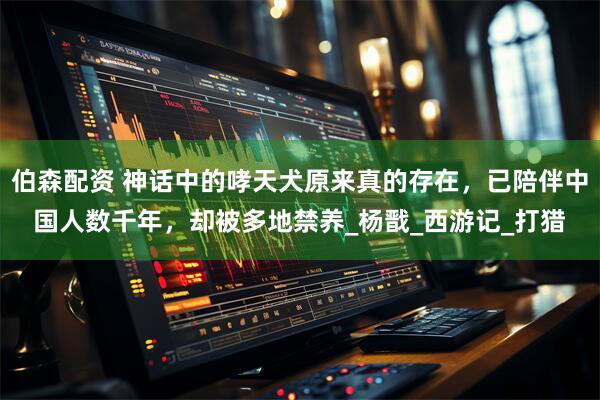 伯森配资 神话中的哮天犬原来真的存在，已陪伴中国人数千年，却被多地禁养_杨戬_西游记_打猎