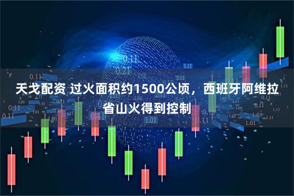天戈配资 过火面积约1500公顷，西班牙阿维拉省山火得到控制