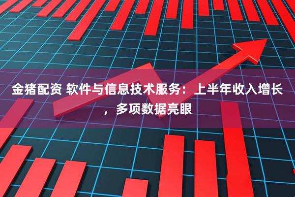 金猪配资 软件与信息技术服务：上半年收入增长，多项数据亮眼