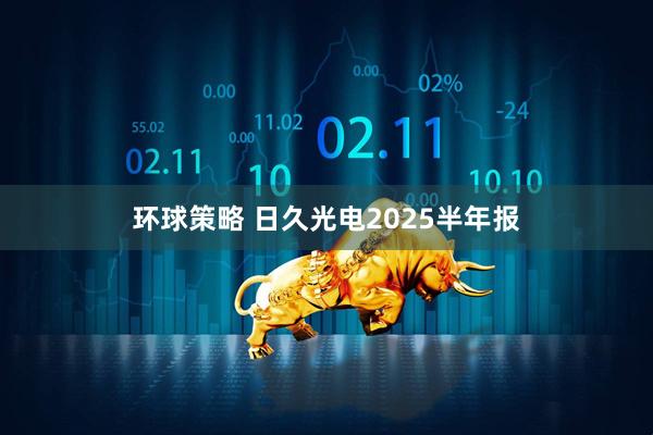 环球策略 日久光电2025半年报