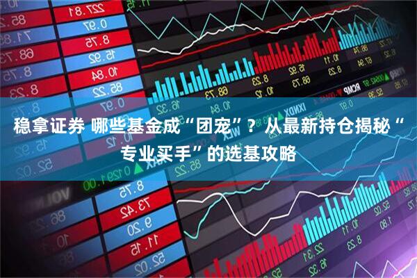 稳拿证券 哪些基金成“团宠”?从最新持仓揭秘“专业买手”的选基攻略