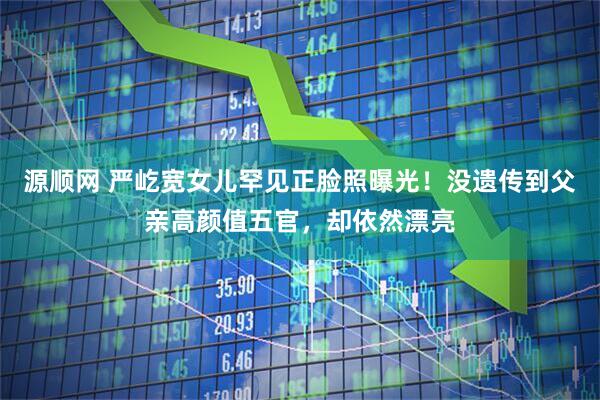 源顺网 严屹宽女儿罕见正脸照曝光!没遗传到父亲高颜值五官,却依然漂亮